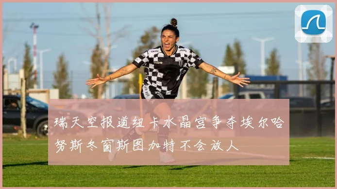 瑞天空报道纽卡水晶宫争夺埃尔哈努斯冬窗斯图加特不会放人