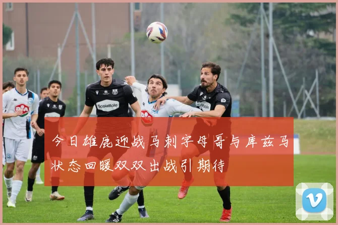 今日雄鹿迎战马刺字母哥与库兹马状态回暖双双出战引期待