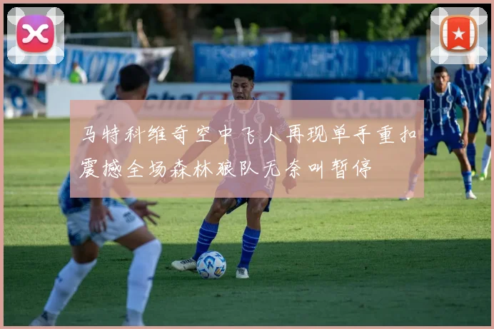 马特科维奇空中飞人再现单手重扣震撼全场森林狼队无奈叫暂停