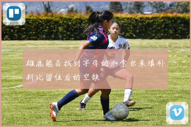 雄鹿能否找到字母的加索尔来填补科比留住后的空缺