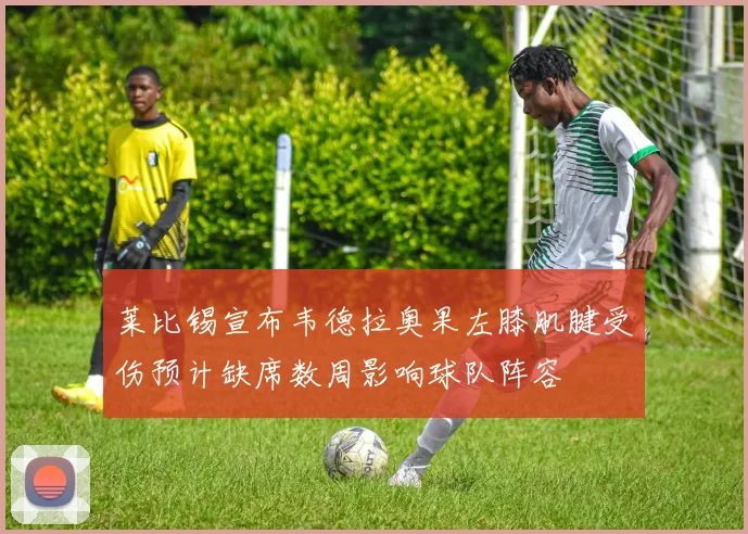 莱比锡宣布韦德拉奥果左膝肌腱受伤预计缺席数周影响球队阵容